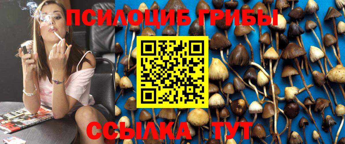 Ленинск-Кузнецкий  Псилоцибиновые грибы Magic Shrooms  Вход с VPN 
